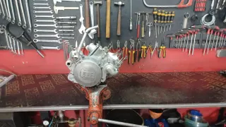 Motor TM 144 2010