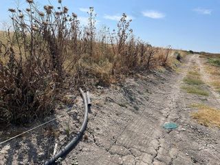 Terreno en venta en Ayuntamiento-Barrio Alto en Sanlúcar de Barrameda