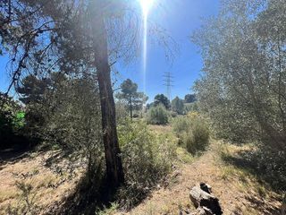 Terreno en venta en Turís