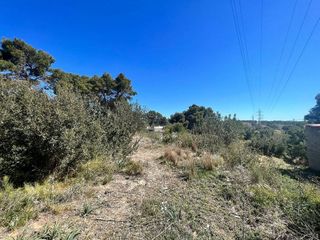 Terreno en venta en Turís