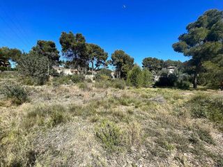 Terreno en venta en Turís