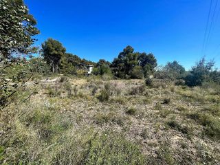 Terreno en venta en Turís