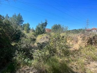 Terreno en venta en Turís