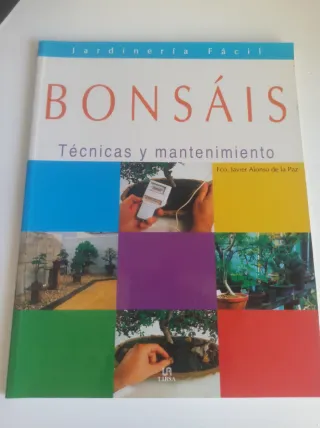 El espíritu del diseño en bonsai
