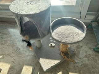 2 Árboles para Gato Grises