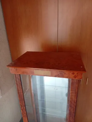 Vitrina de madera con luz y cristal