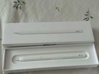 iPad Pro 12.9 4ª Gen 128GB + Pencil