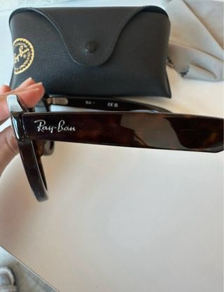 Gafas de Sol Ray-Ban Wayfarer Marrones/Negras