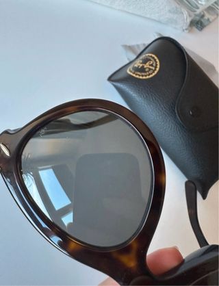 Gafas de Sol Ray-Ban Wayfarer Marrones/Negras