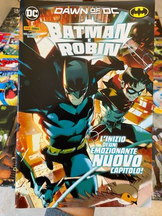 Batman e Robin Dawn Of Dc 1