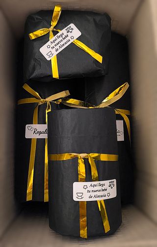 Últimos pedidos del año