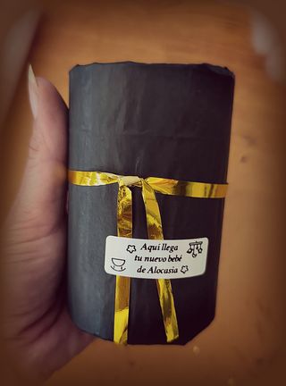 Últimos pedidos del año