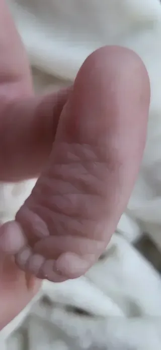 Bebé Reborn realista nuevo