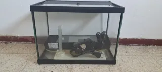 Acuario con filtro y luz