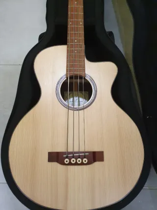 Bajo Acústico Antonio Pinto Carvalho