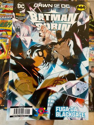 Batman e Robin Dawn Of Dc 2