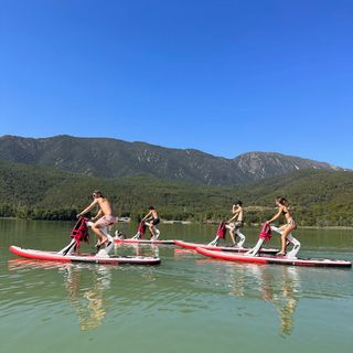 Negocio de alquiler de bicicletas acuáticas