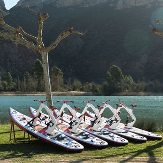 Negocio de alquiler de bicicletas acuáticas