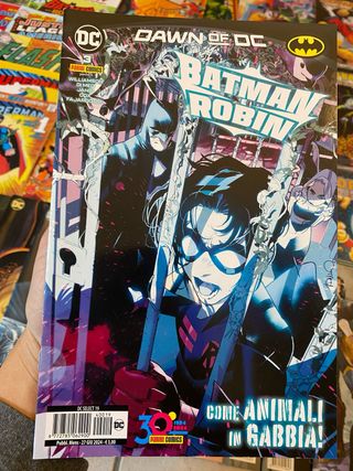 Batman e Robin Dawn Of Dc 3