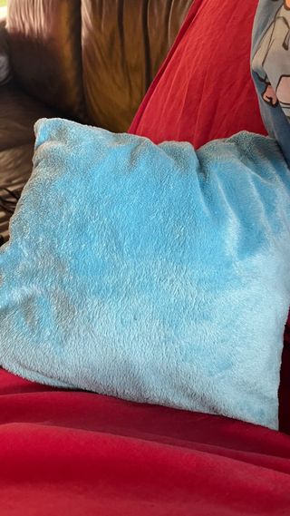 Set 2 Cuscini Winnie the Pooh e Me Contro Te