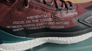 Adidas Terrex Free Hiker 2 And Wa