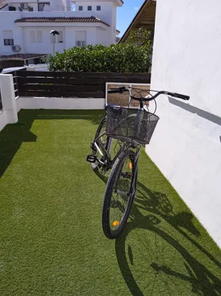 Bicicleta Chopper Paseo con Cesta