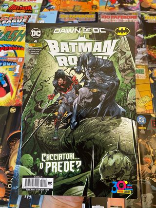 Batman e Robin Dawn Of Dc 4