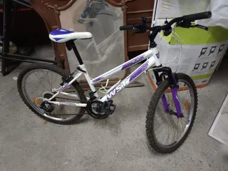 Bicicleta WST niña 2020