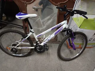 Bicicleta WST niña 2020