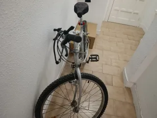 Bicicleta de buscar insectos