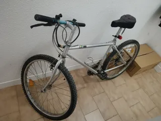 Bicicleta de buscar insectos