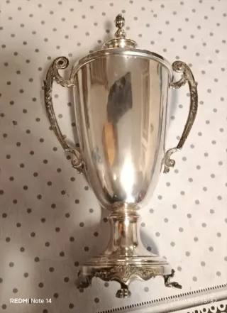 Coppa/trofeo in argento 925