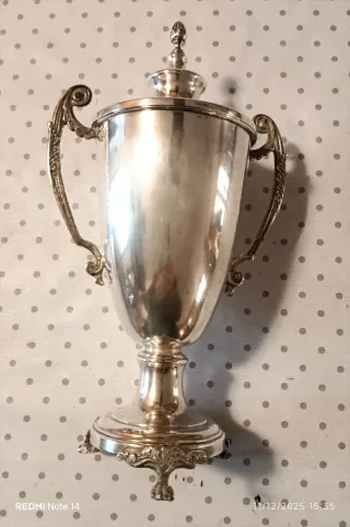 Coppa/trofeo in argento 925