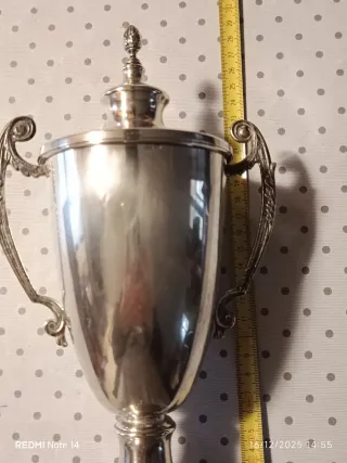 Coppa/trofeo in argento 925