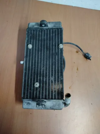 Radiador Yamaha Xmax 125 (2010)