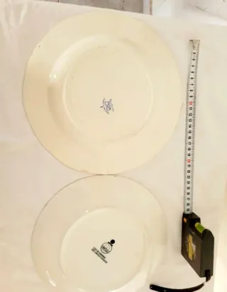 Lote de 6 Platos Decorativos Vintage