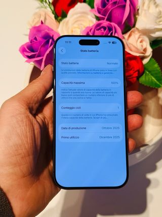 iPhone 17 Pro 256  batt 1 Ciclo PREZZO FISSO