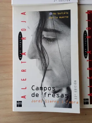 Lote de libros juveniles