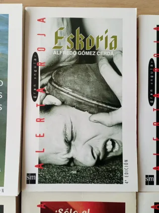 Lote de libros juveniles