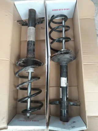 Suspensión Delantera Fiat Ducato