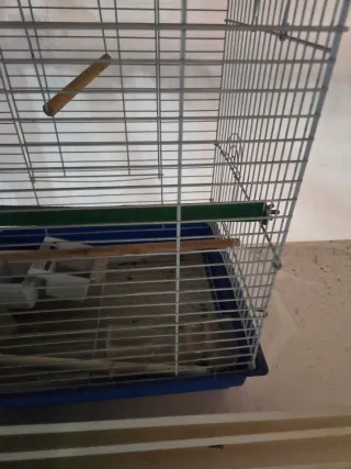 PACK Jaula para pájaros completa