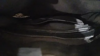 Bolso pelo Zara estampado serpiente.