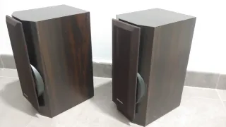 Altavoces Technics SB-HDV600 (Pareja)