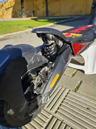 Patinete Eléctrico Zwheel Zcougar