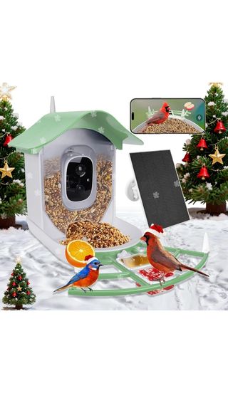 Videocámara pájaro