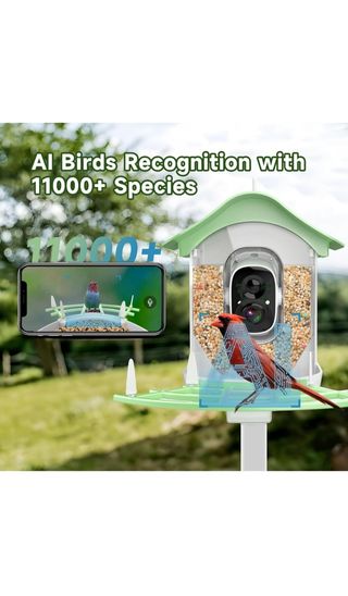 Videocámara pájaro