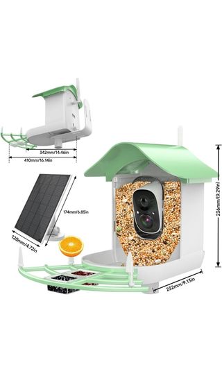 Videocámara pájaro