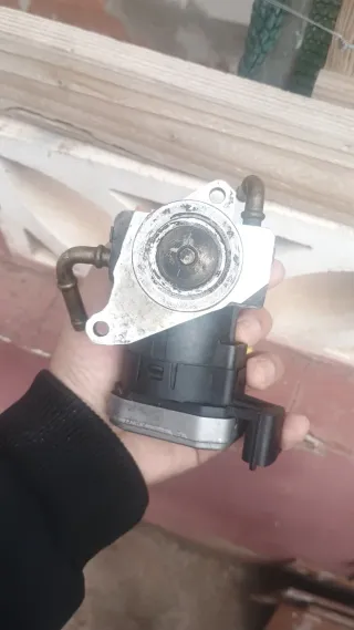 Válvula EGR Wahler Opel Vectra C