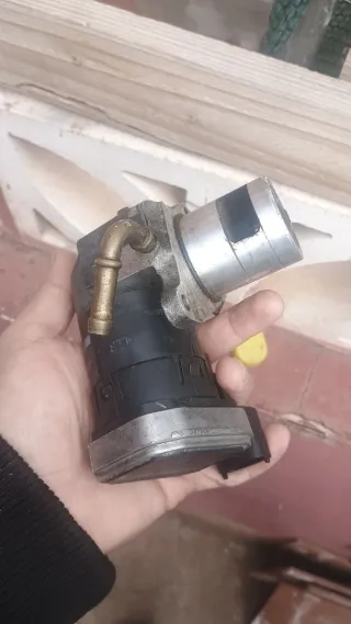 Válvula EGR Wahler Opel Vectra C