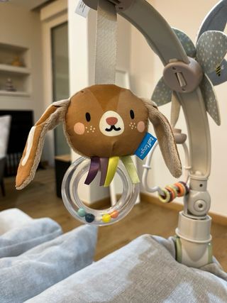 Arco actividades bebé Taf Toys